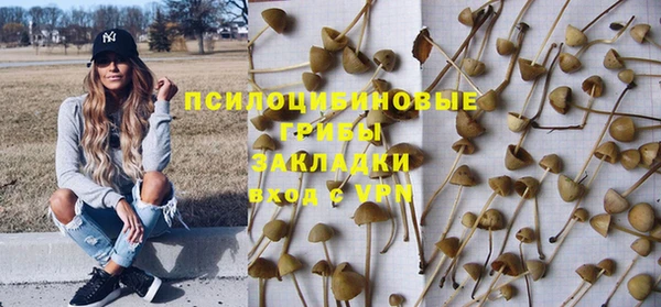 винт Сосновка
