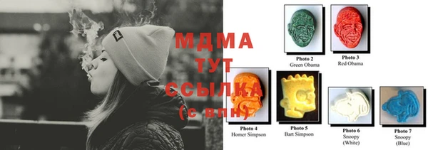 прущие грибы Ступино