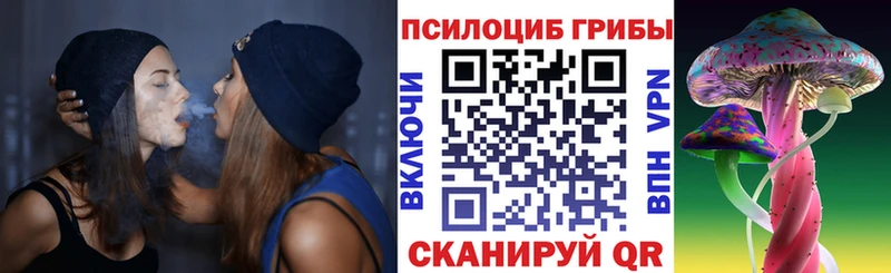 как найти закладки  Темников  Галлюциногенные грибы прущие грибы 